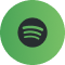 Spotify Icon